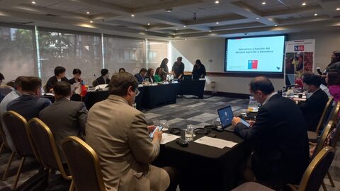 Mesa técnica bilateral con banderas y sistema de conferencia